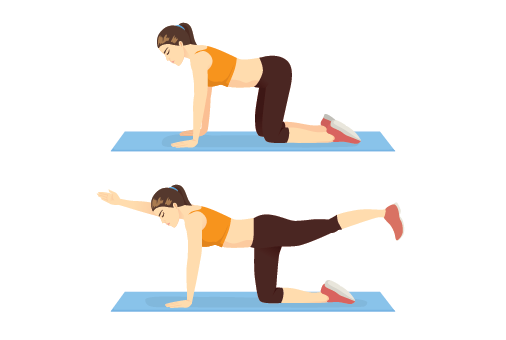 Scoliosis exercise